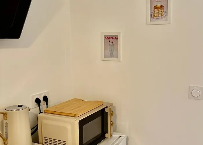 Les Chouettes 公寓 勒芒