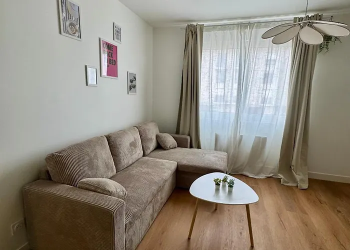 Les Chouettes 公寓 勒芒