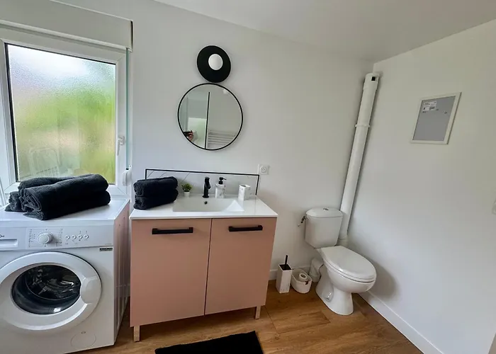 Les Chouettes 勒芒