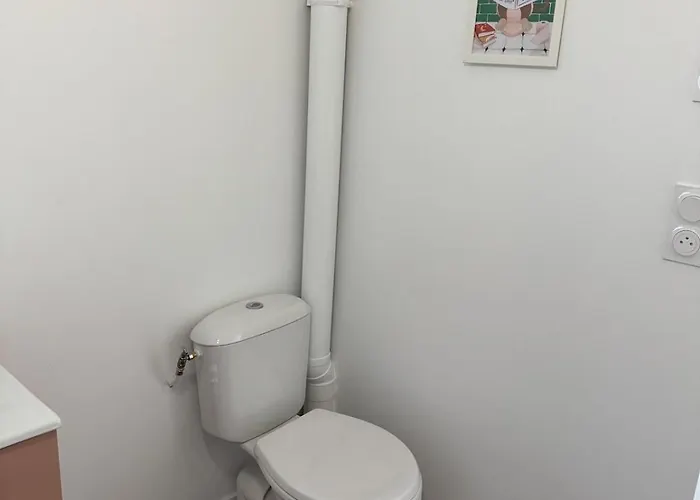 Les Chouettes 公寓 勒芒