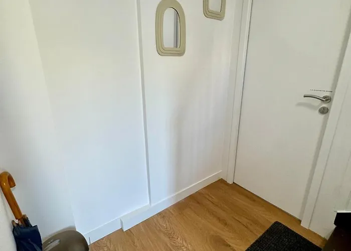 Les Chouettes * 勒芒