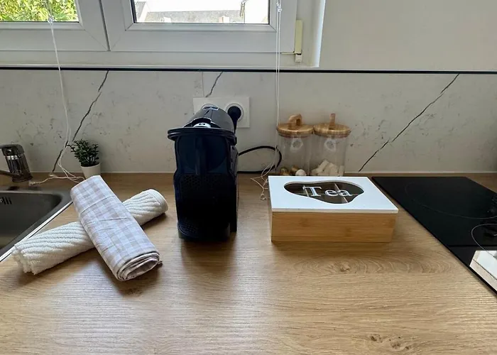 公寓 Les Chouettes 勒芒